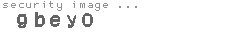 security image