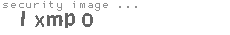 security image