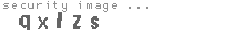 security image