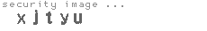 security image