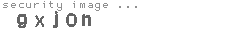 security image