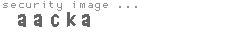 security image