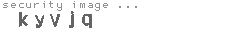security image