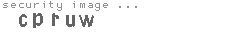 security image