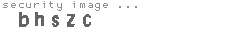 security image