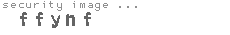 security image