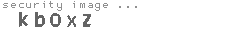 security image