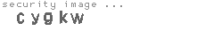 security image