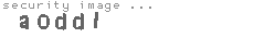 security image