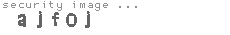 security image