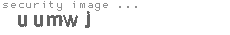 security image