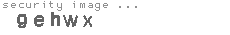 security image