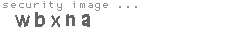security image
