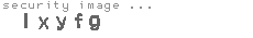 security image