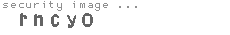 security image