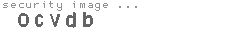 security image