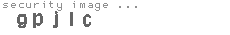 security image
