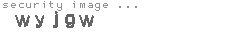 security image