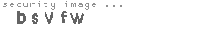 security image
