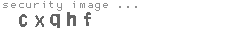 security image