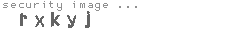 security image