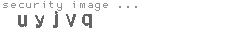 security image