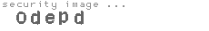 security image
