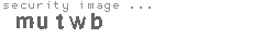 security image