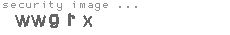 security image