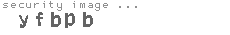 security image