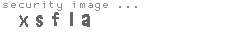 security image