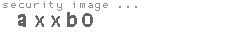 security image