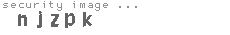 security image