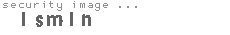 security image