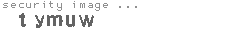 security image