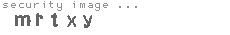 security image