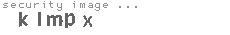 security image