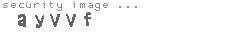 security image
