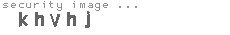 security image