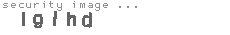 security image