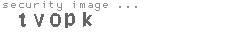security image