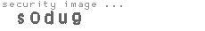 security image