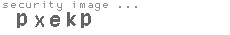 security image