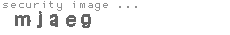 security image