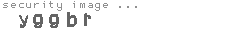 security image