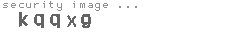 security image