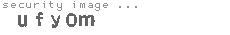 security image