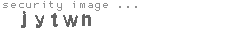 security image