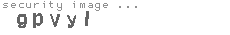 security image