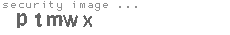 security image